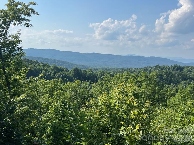 253 Falls Creek Dr, Nebo, NC 28761