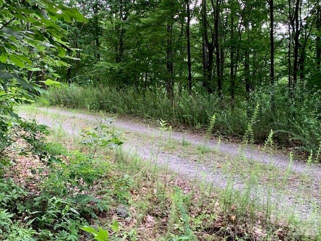 tbd Whitewater Cv, Montreat, NC 28757