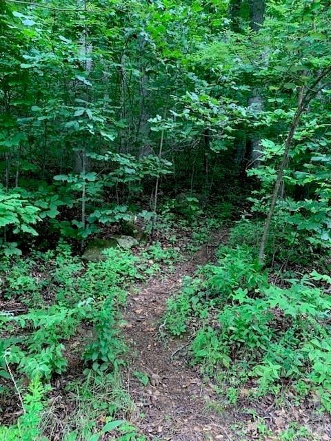 tbd Whitewater Cv, Montreat, NC 28757