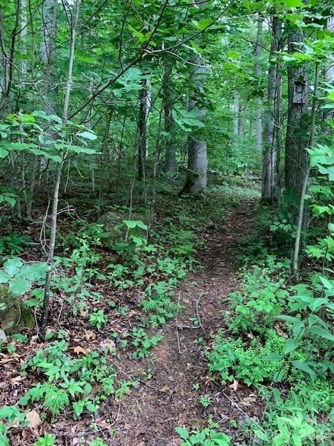tbd Whitewater Cv, Montreat, NC 28757