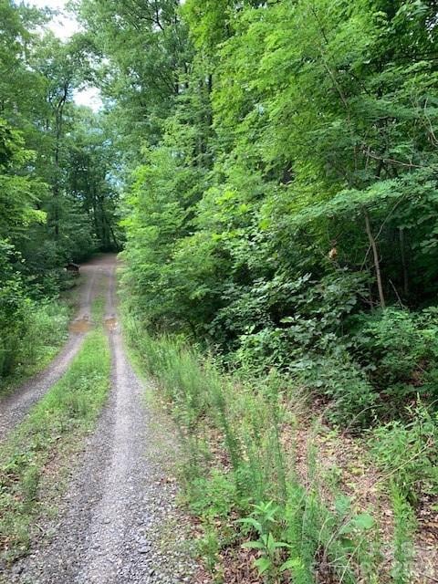 tbd Whitewater Cv, Montreat, NC 28757