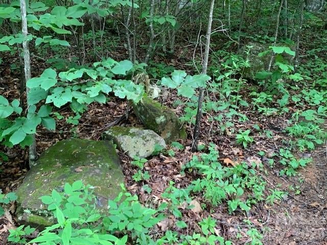 tbd Whitewater Cv, Montreat, NC 28757