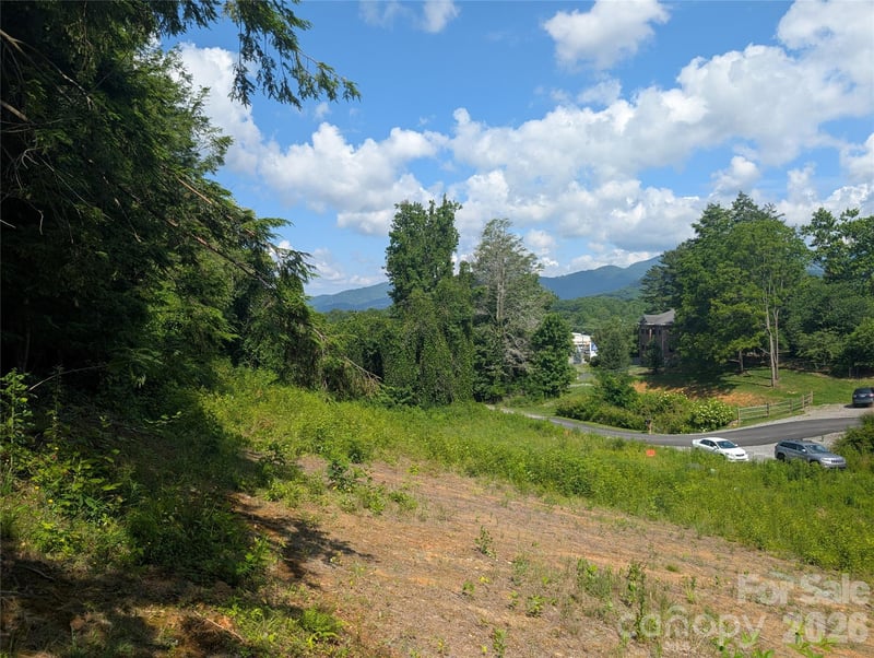 119 Randolph Ave, Black Mountain, NC 28711