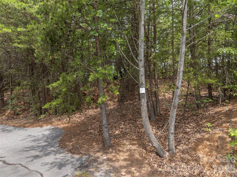 228 Brighton Dr, Bostic, NC 28018