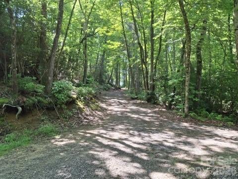 630 Shumont Rd, Black Mountain, NC 28711