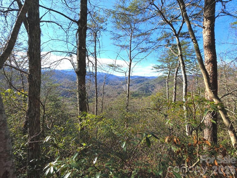 81 Lucerne Dr, Canton, NC 28716