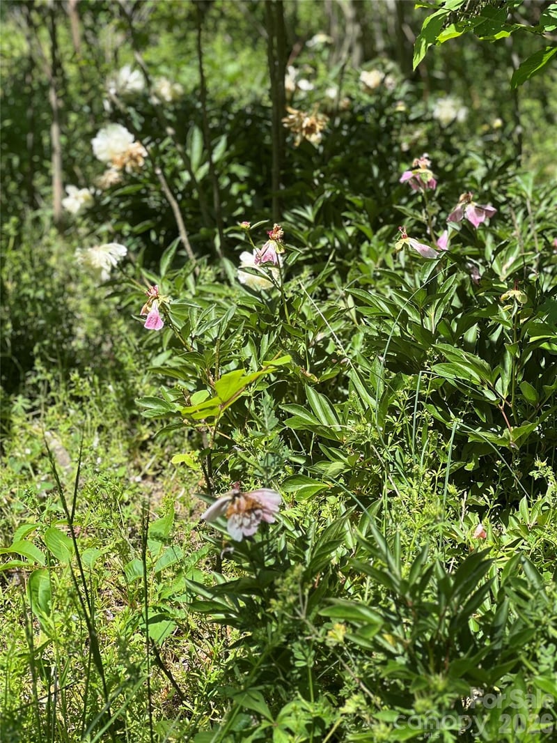 3393 Anderson Mountain Rd, Maiden, NC 28650