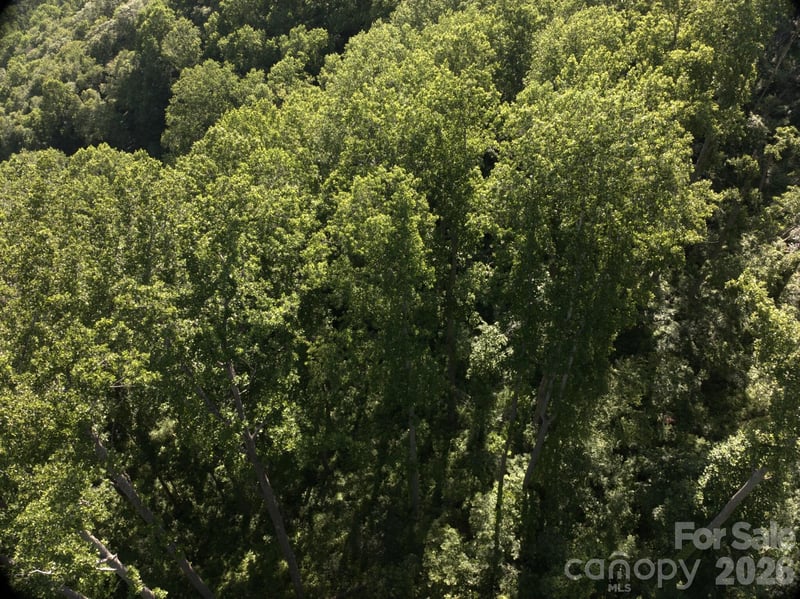 00 Ox Creek Crest Ln, Weaverville, NC 28787
