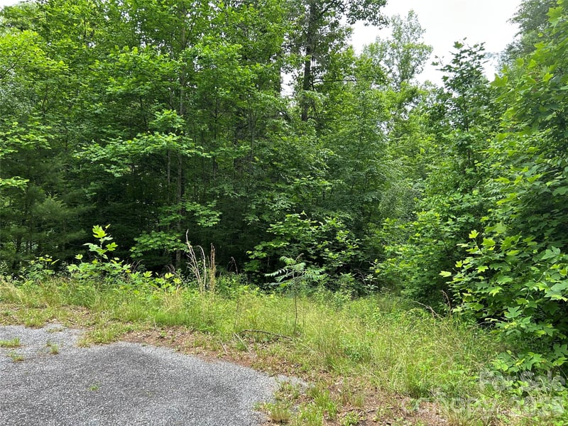 Silverstone Dr #16 & 17, Hendersonville, NC 28792