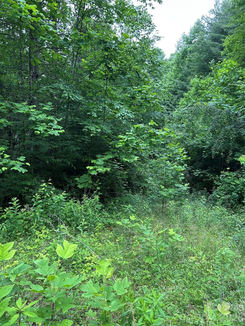 Silverstone Dr #16 & 17, Hendersonville, NC 28792