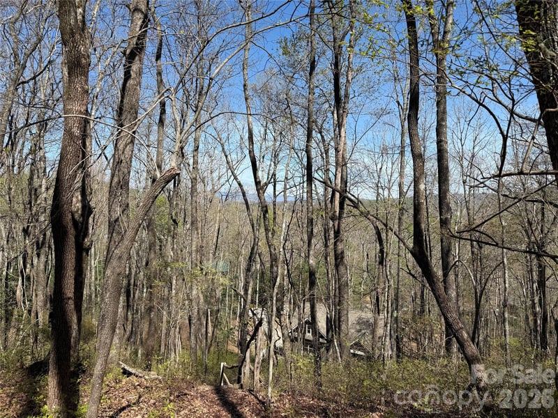 TBD White Oak Ter #9, Brevard, NC 28712
