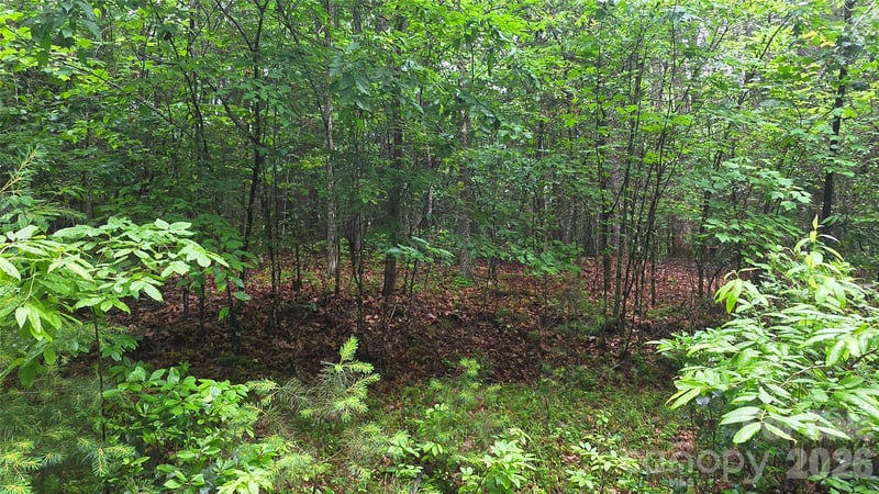 TBD Wingfield Way, Brevard, NC 28712