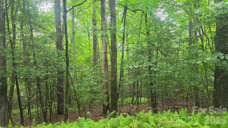 TBD Wingfield Way, Brevard, NC 28712
