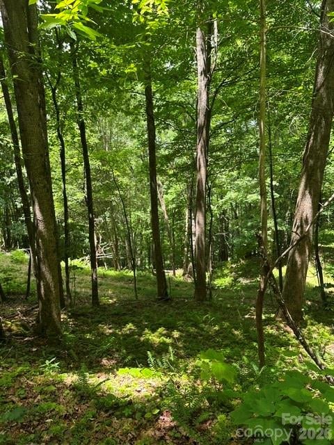 TBD Mountain Home Rd #2, Elk Park, NC 28622