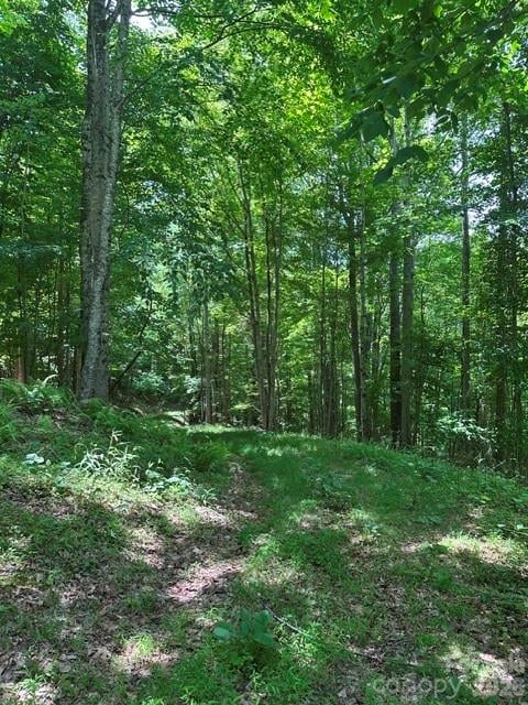 TBD Mountain Home Rd #2, Elk Park, NC 28622