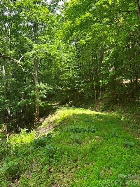 TBD Mountain Home Rd #2, Elk Park, NC 28622