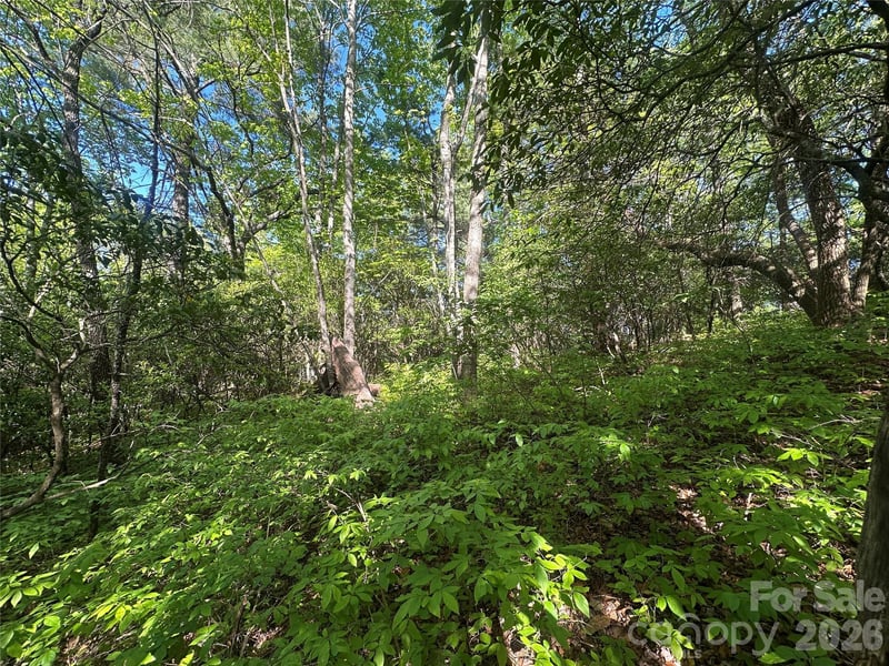 RR 17 Lakeside Dr, Lake Toxaway, NC 28747