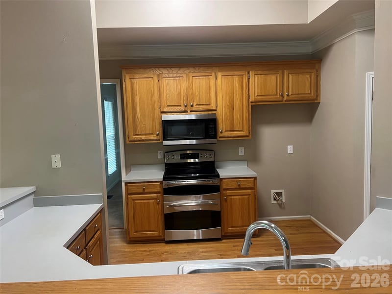 17208 Sycamore Ridge Ct, Cornelius, NC 28031