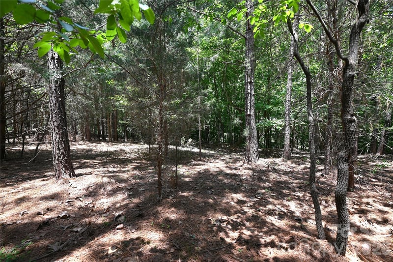 136 Oak Point Ln #36, Stony Point, NC 28678