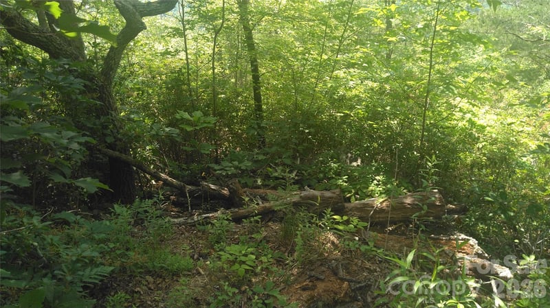 Lot 2F Seminole Pa, Marion, NC 28752