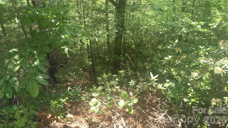 Lot 2F Seminole Pa, Marion, NC 28752
