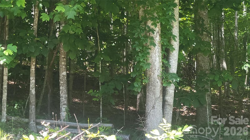 Wildwood Acres Dr, Burnsville, NC 28714