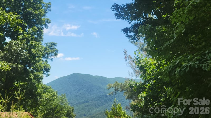 Wildwood Acres Dr, Burnsville, NC 28714