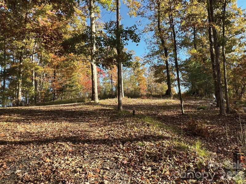 00000 Shady Bark Ln #43 & 44, Rutherfordton, NC 28139