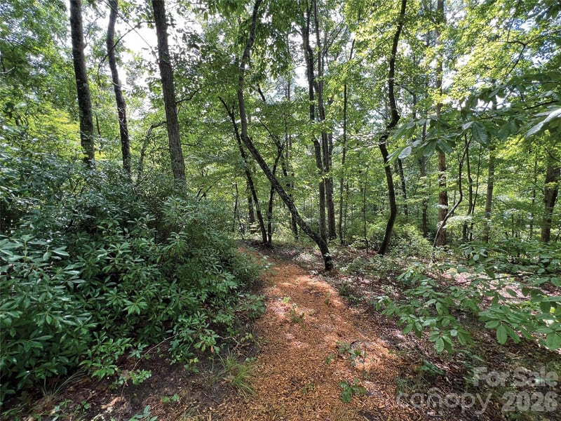 00000 Shady Bark Ln #43 & 44, Rutherfordton, NC 28139