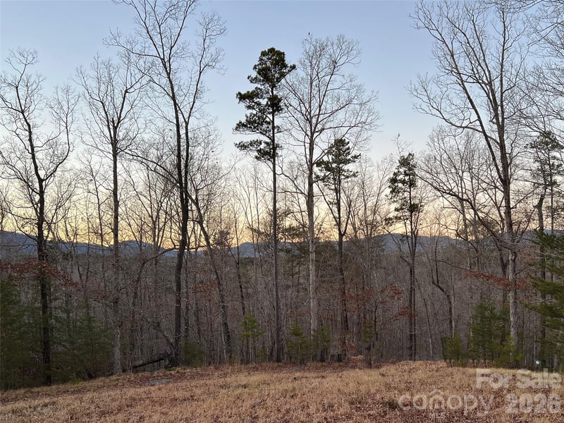 00000 Shady Bark Ln #43 & 44, Rutherfordton, NC 28139