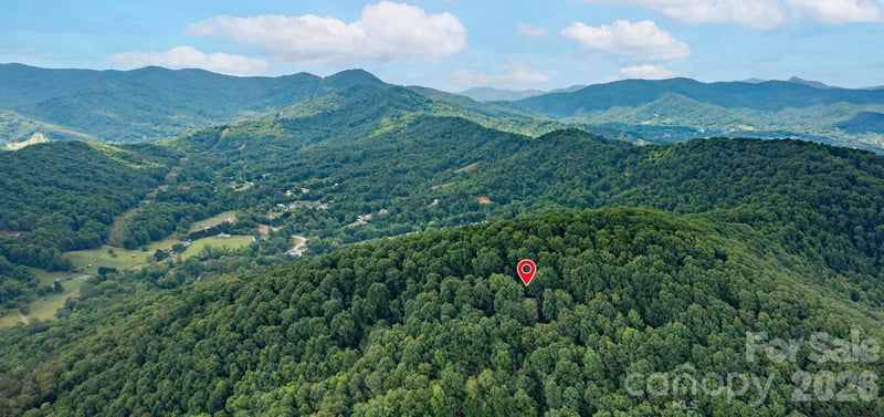 72 Wildflower Mountain Trl, Candler, NC 28715
