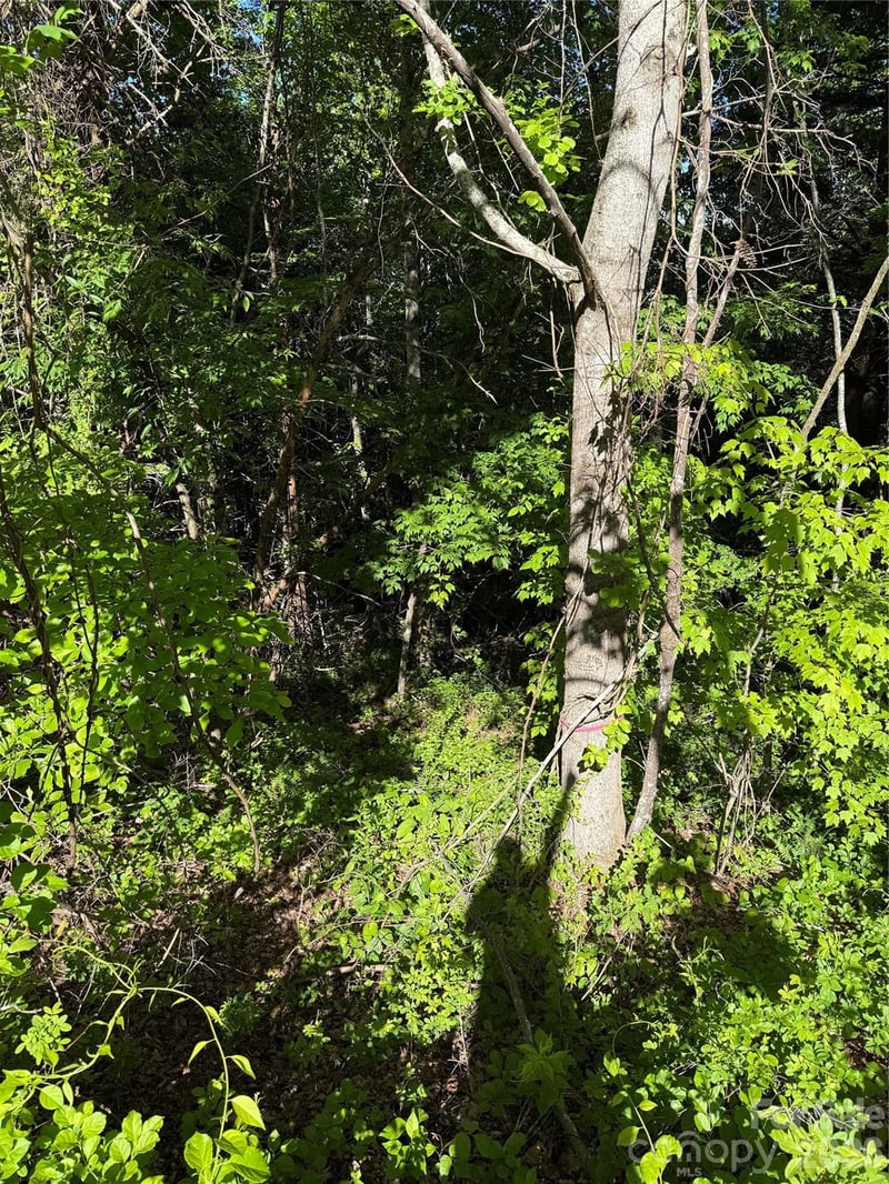 9999 Hunters Ridge Rd, Canton, NC 28716