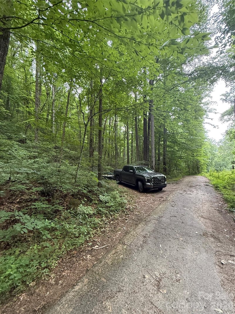 9999 Countryside Estate, Barnardsville, NC 28709