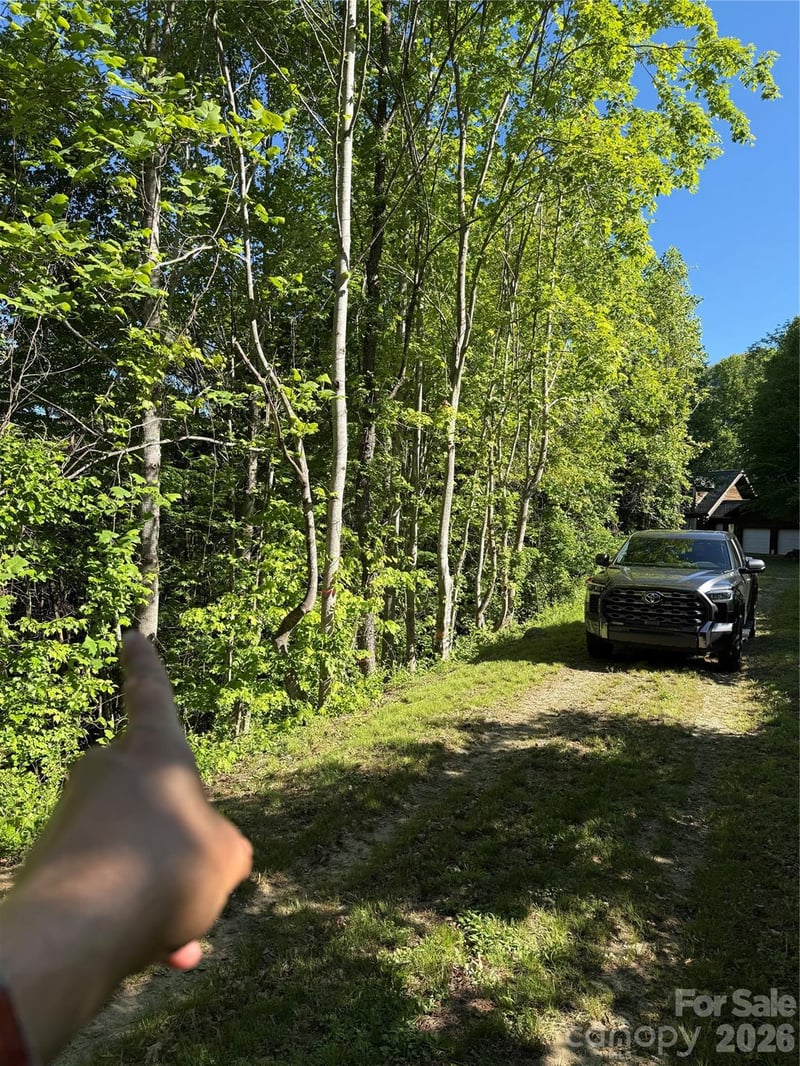 9999 Countryside Estate, Barnardsville, NC 28709