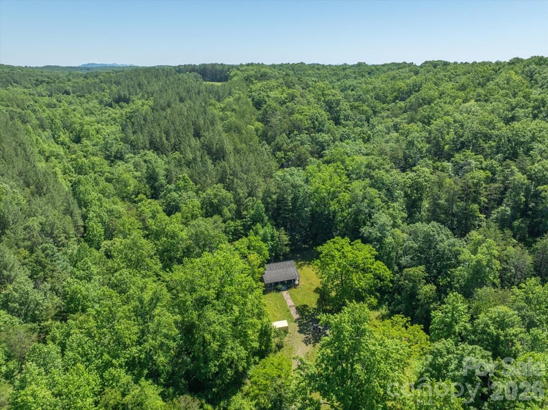1194 Palmer Rd, Mill Spring, NC 28756