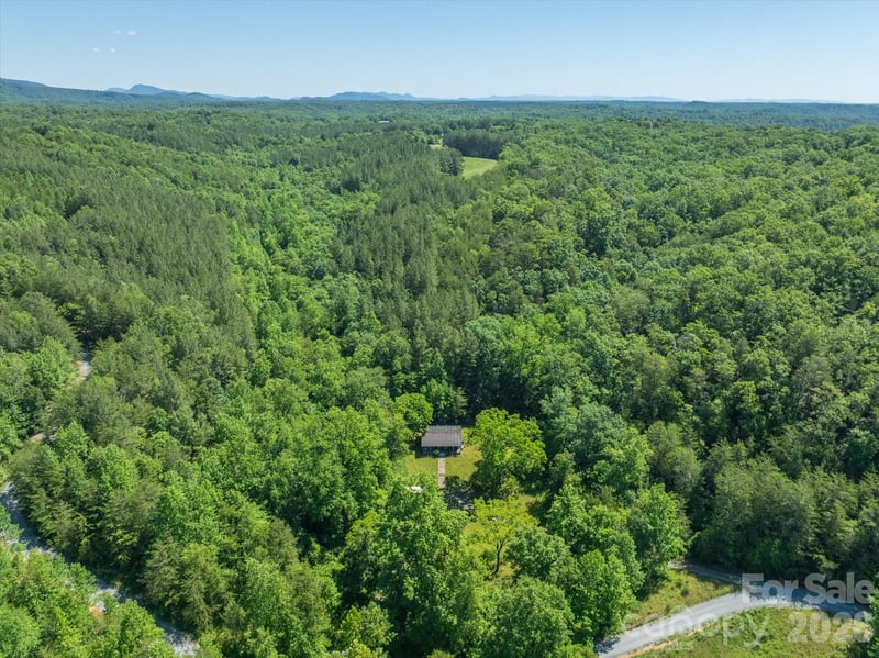 1194 Palmer Rd, Mill Spring, NC 28756