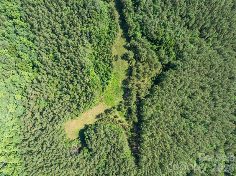 1194 Palmer Rd, Mill Spring, NC 28756