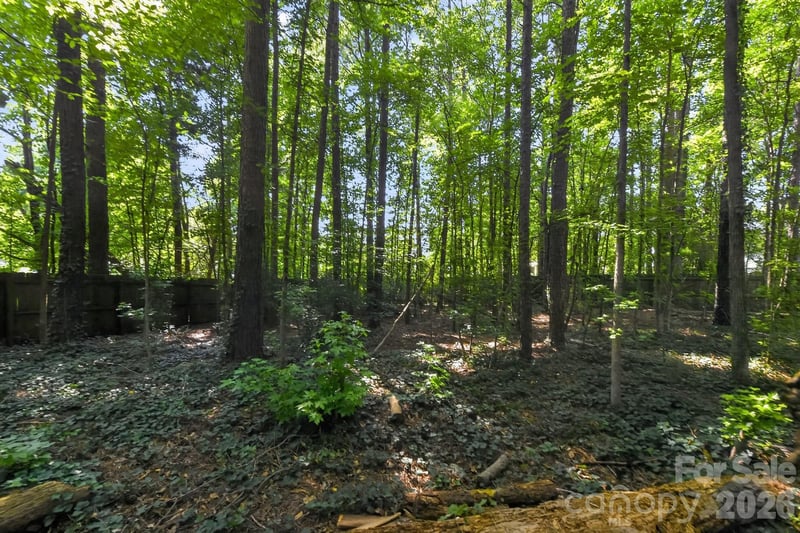 1306 Cool Mist Ct, Indian Land, SC 29707