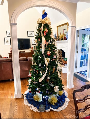 11 Tiverton Ln, Asheville, NC 28803