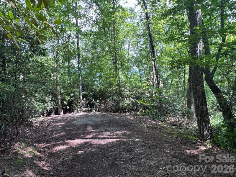 10A Reserve Rd, Brevard, NC 28768