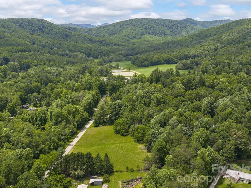 Foster Creek Rd, Horse Shoe, NC 28742