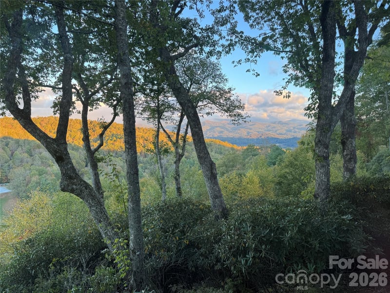 298 Tinequa Dr, Brevard, NC 28712