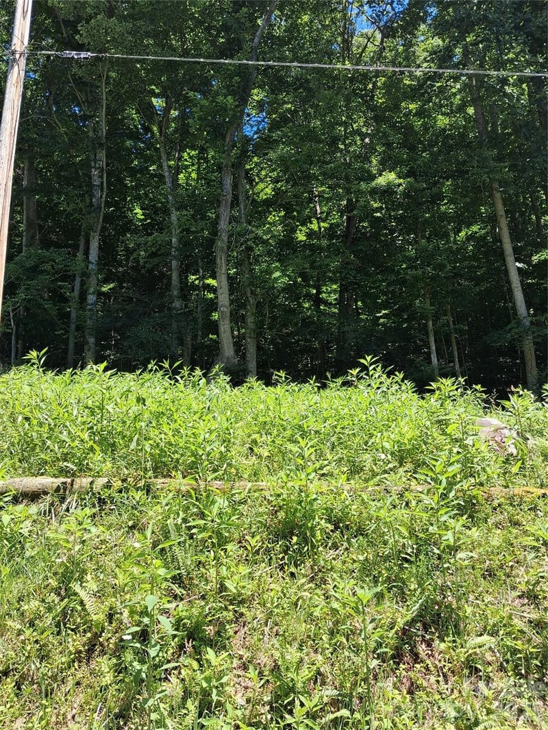 TBD Wooded Mountain Trl #Tract 1, Mars Hill, NC 28754