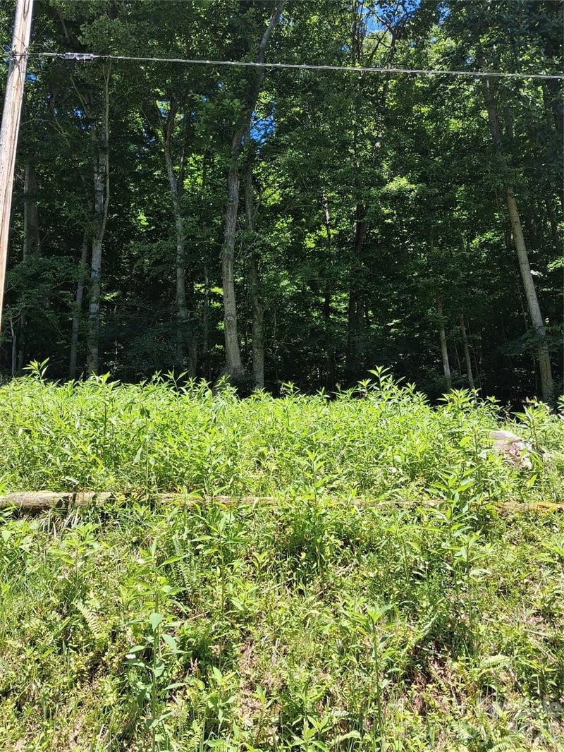 TBD Wooded Mountain Trl #Tract 2, Mars Hill, NC 28754
