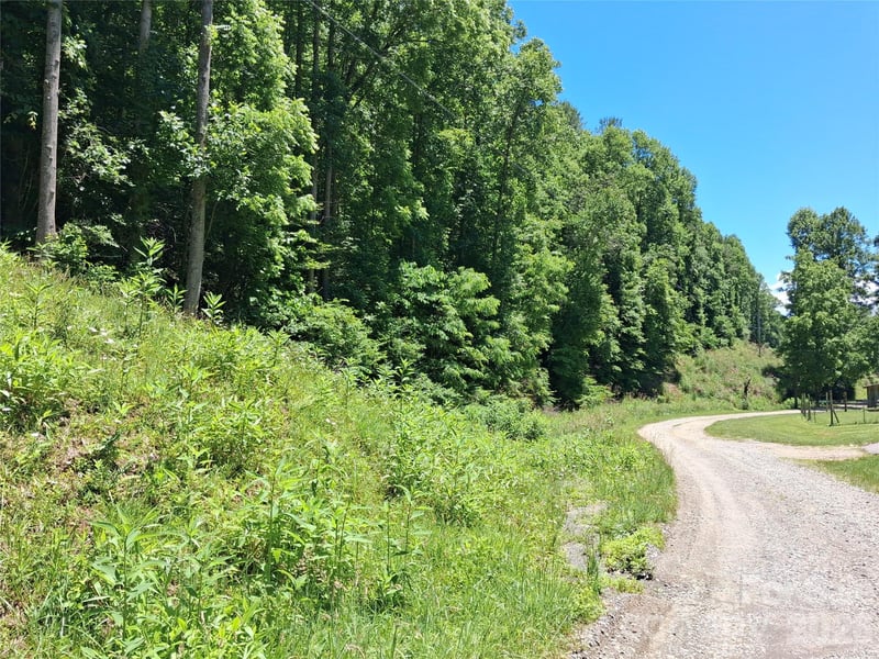 TBD Wooded Mountain Trl #Tract 2, Mars Hill, NC 28754