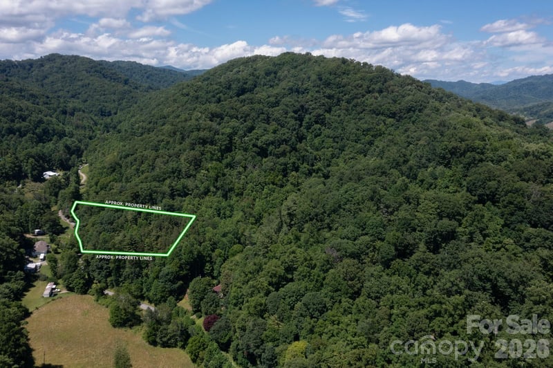 TBD Wooded Mountain Trl #Tract 2, Mars Hill, NC 28754