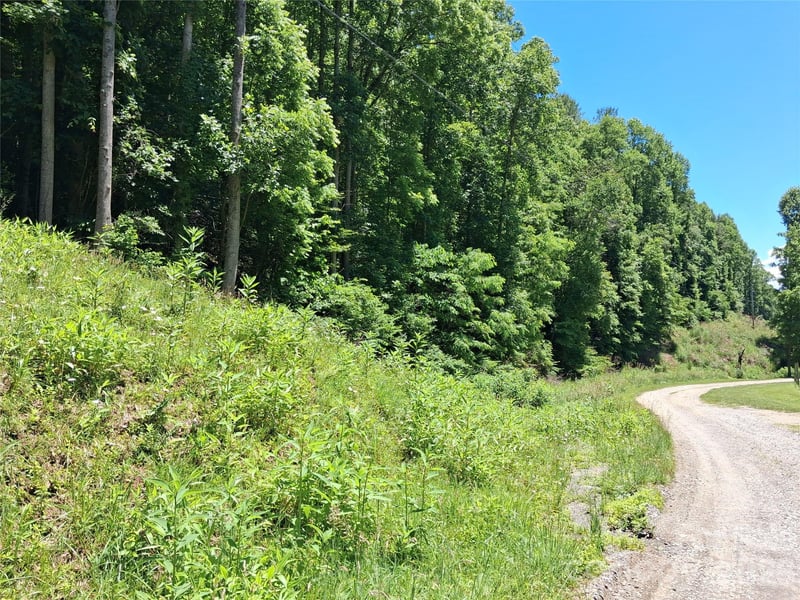 TBD Wooded Mountain Trl #Tract 2, Mars Hill, NC 28754