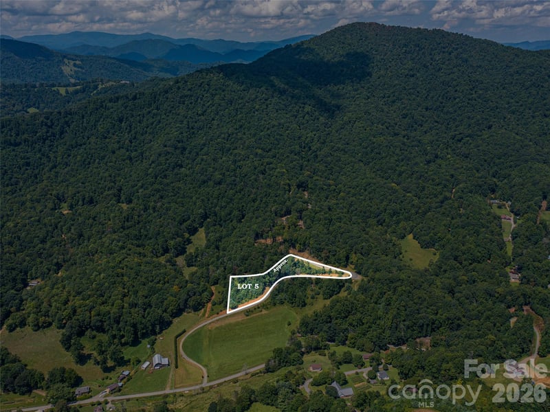 000 Locust Rough Mountain Rd #5, Burnsville, NC 28714