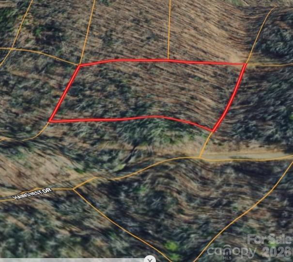 000 Hawks Nest Dr, Burnsville, NC 28714