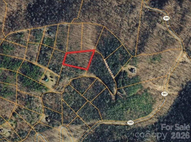 000 Hawks Nest Dr, Burnsville, NC 28714
